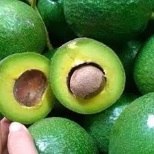 Bơ tròn