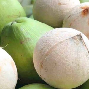 Dừa