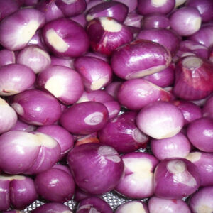Hành tím Ấn Độ lột võ