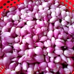 Hành Tím Lý Sơn  lột võ