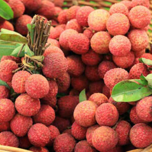 Vải