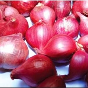 Hành tím Việt Nam
