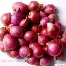 Hành Tím Vĩnh Châu Việt Nam