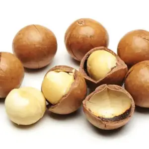 Hạt mắc ca