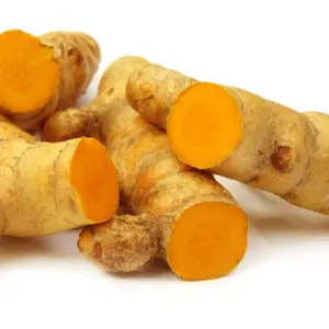 Nghệ