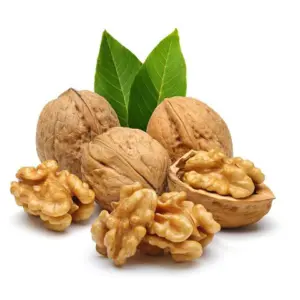Hạt óc chó