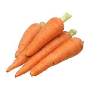 Cà rốt
