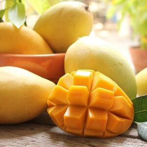 Xoài cát Hòa Lộc