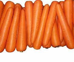 Cà rốt giống Nhật Bản