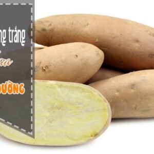 Khoai lang ruột trắng