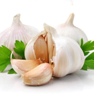 Tỏi tươi (Garlic)